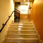 Pepita 4*
