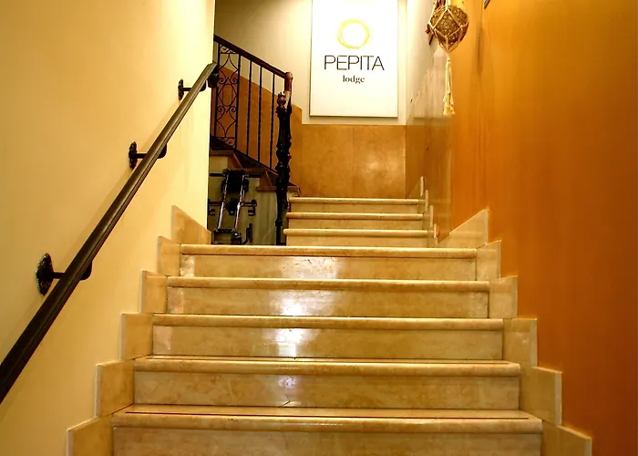 Pepita 4*